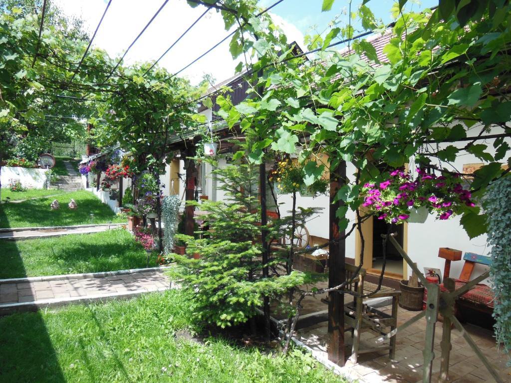 Pension Bassen Базна Екстер'єр фото
