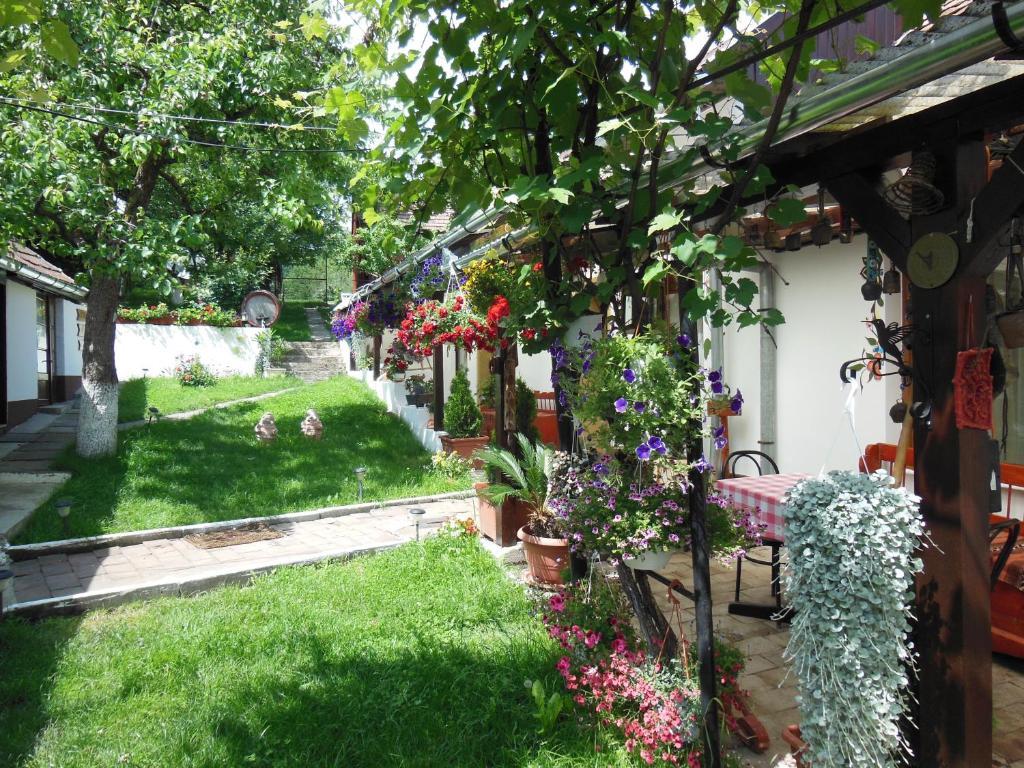 Pension Bassen Базна Екстер'єр фото