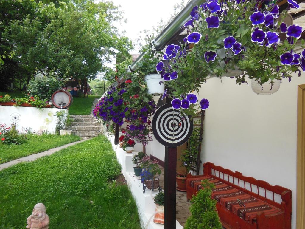Pension Bassen Базна Екстер'єр фото