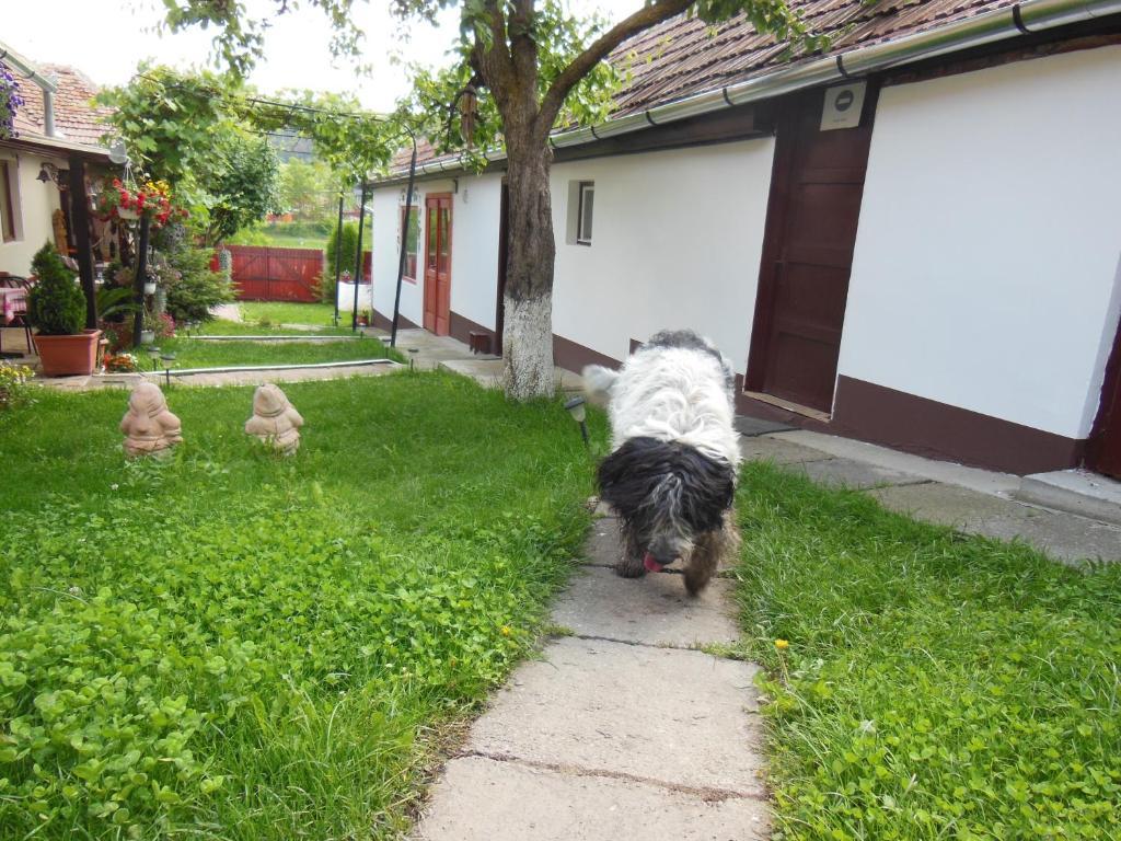 Pension Bassen Базна Екстер'єр фото
