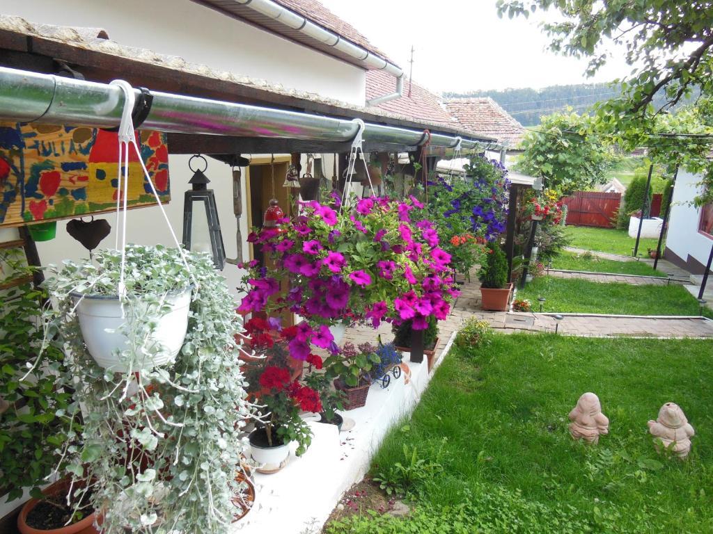 Pension Bassen Базна Екстер'єр фото